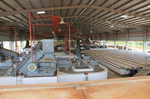 Crumb TSR Natural Rubber Processing Machinery